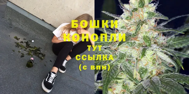 Бошки марихуана Ganja  Голицыно 